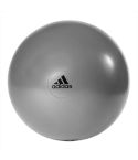 Adidas Gymball - Grey