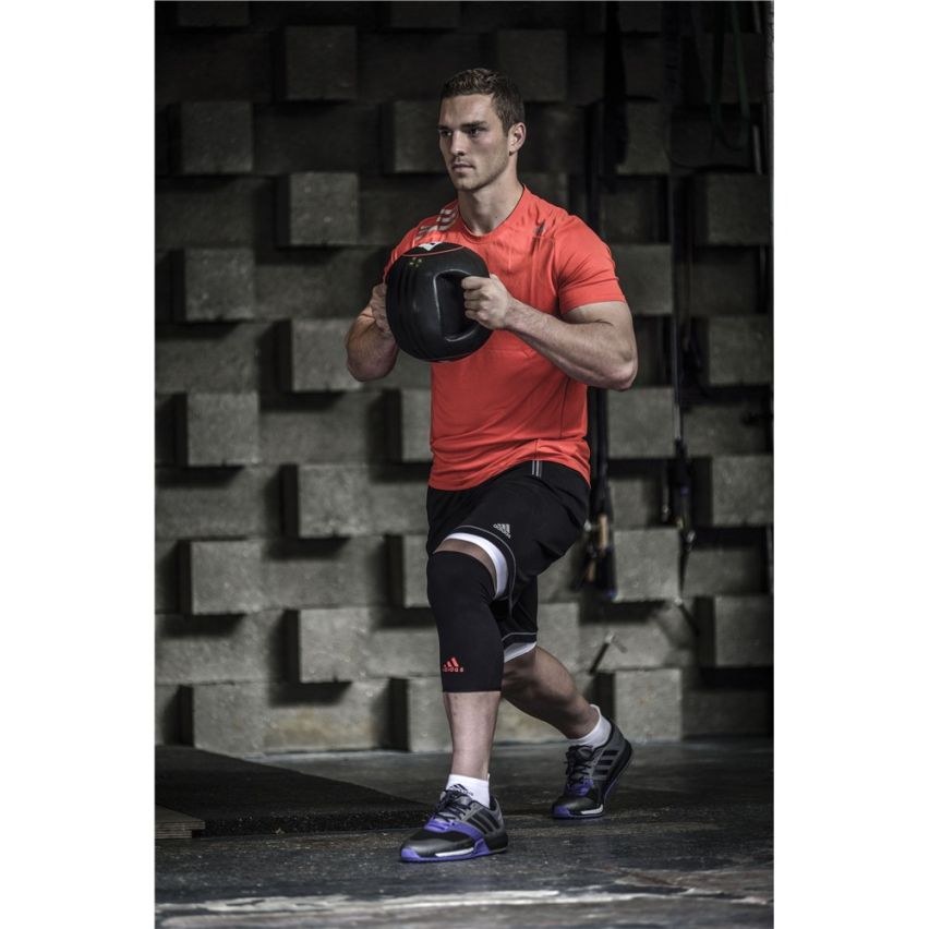 Knee Support